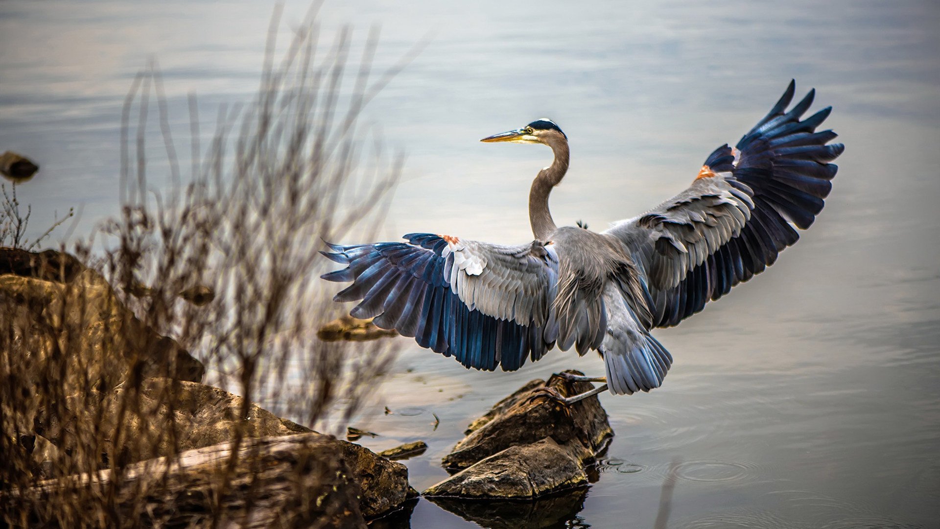 九游体育下载-德甲攻防炫技：精彩节奏不断升华！，德甲推荐
