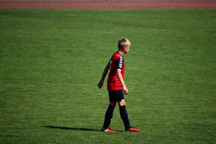 九游娱乐官方平台-俱乐部青训选拔日活动吸引众多有潜力少年参与,足球青训俱乐部招生宣传